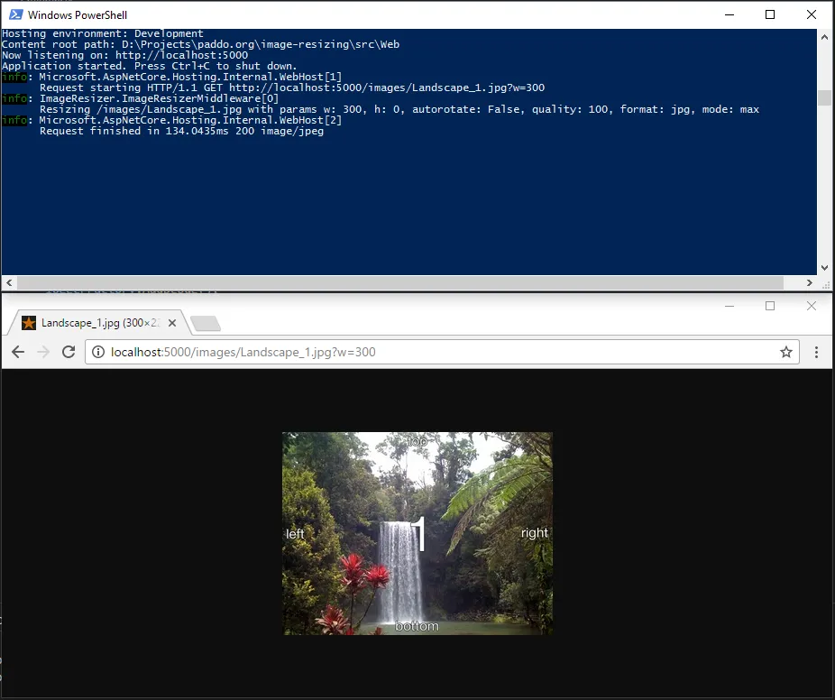 Image resizing logging