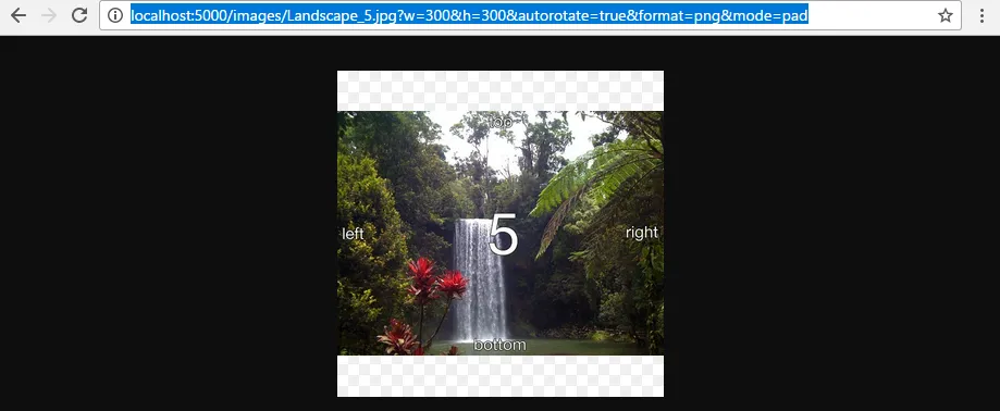 Padded and rotated image test